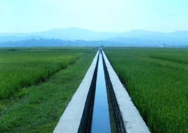 柳州柳城县未来蓝图展望，最新规划与未来发展