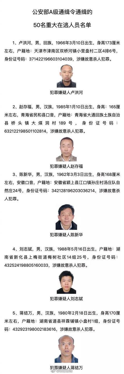 四川逃犯名单获取指南，初学者与进阶用户适用