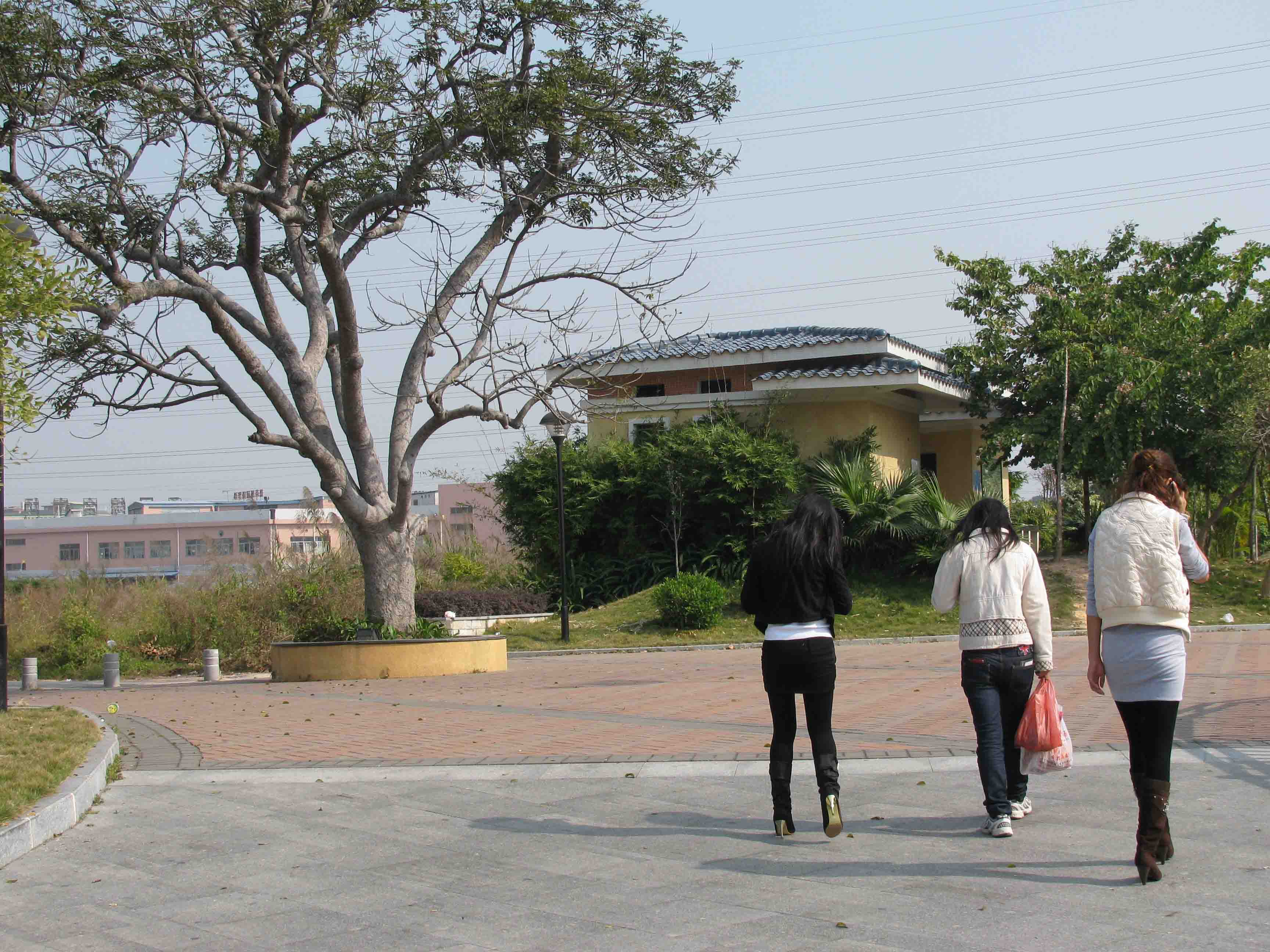 东莞东城桑园最新招聘启事，小巷风味等你来发掘！