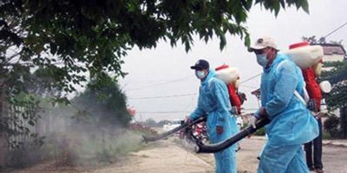 越南登革热最新动态更新