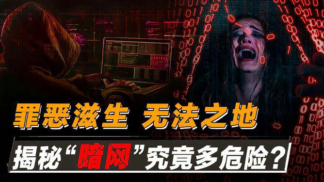 暗网最新动态与相关观点探讨