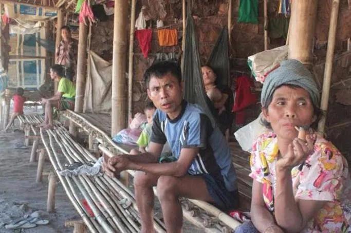 缅甸登革热最新动态，全面指南与应对策略揭秘