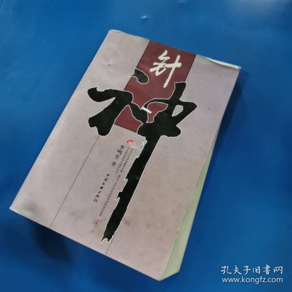 流氓神针最新章节揭秘，神秘医术的魅力与传奇探寻