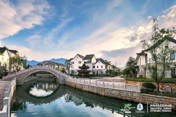 最新白茶，科技与生活融合的高科技饮品体验