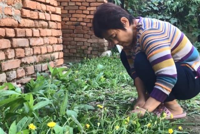 最新辞工步骤指南详解