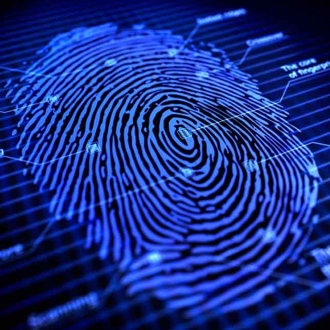 最新指纹技术，解锁潜力，重塑自信与成就之路