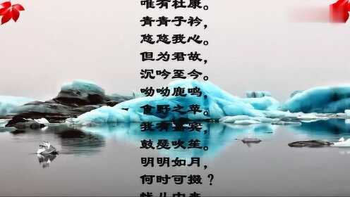 最新短歌风靡小红书，音乐风潮席卷平台