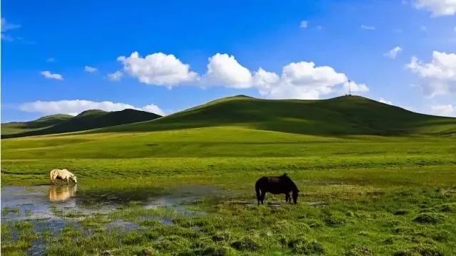 若尔盖科技新品介绍，探索最新科技魅力