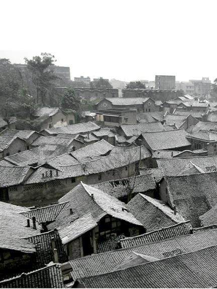 隆昌自然美景探索之旅，最新发现与体验之旅