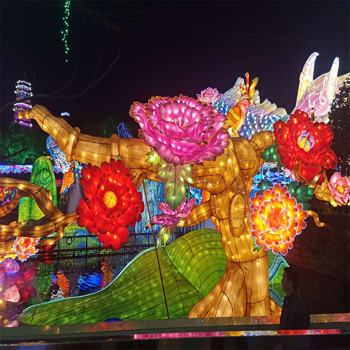 彩灯最新，家的温馨与友情的闪烁光彩展现