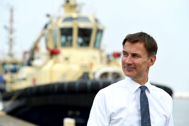 自然美景探索之旅，最新ABC引领心灵回归平和之路