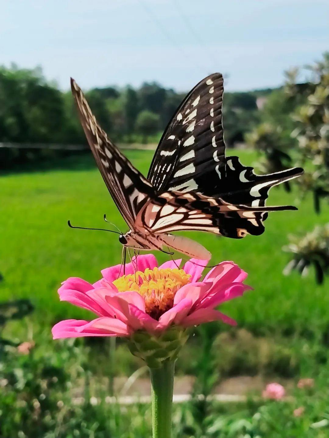 入梦最新详细步骤指南，打造梦幻之旅的必备指南