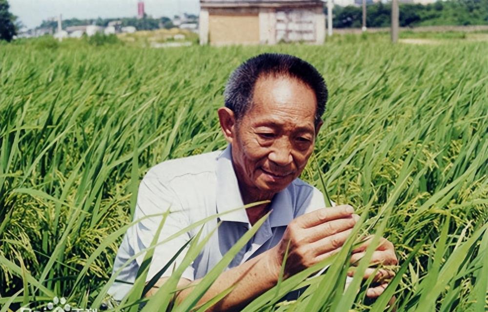 握手，成长与自信的起点之路