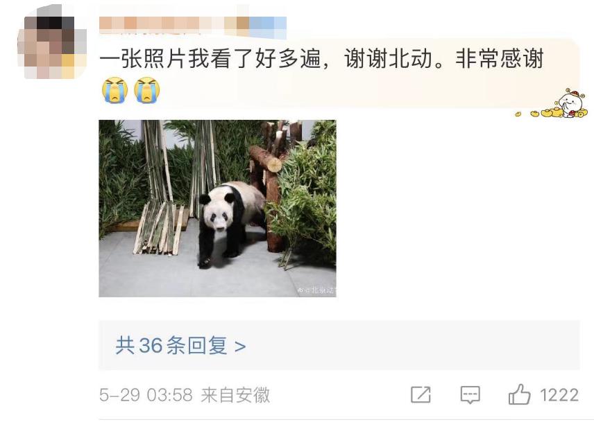 探索竹子的现代应用与未来发展趋势，最新竹子技术展望