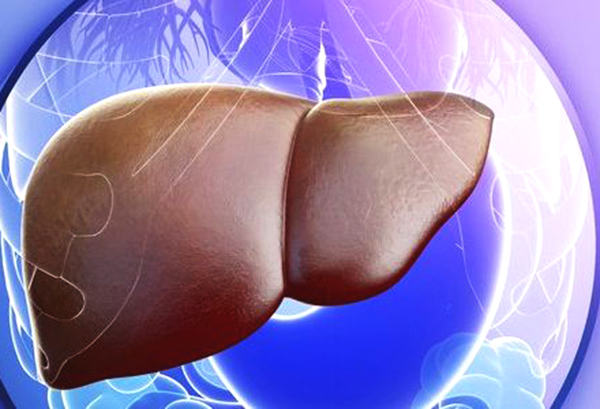 肝炎最新动态，背景、进展与全球影响力分析