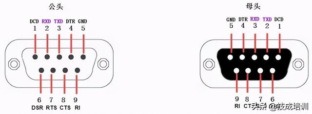 探索特色小店的独特魅力，最新串口隐藏在小巷中的宝藏