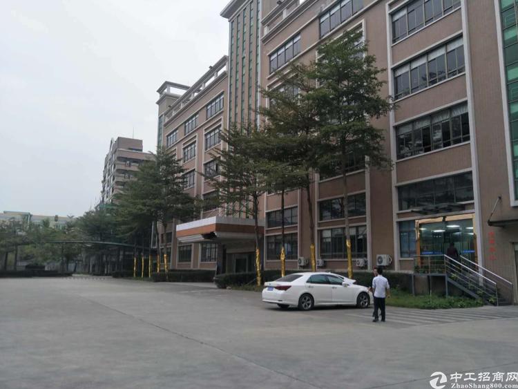 松岗最新回顾，背景、重要事件与地位的概览