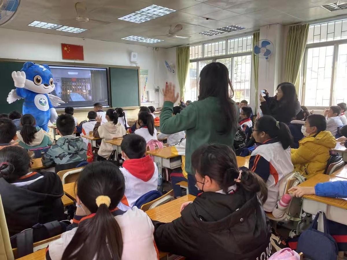 最新转播步骤指南及操作详解