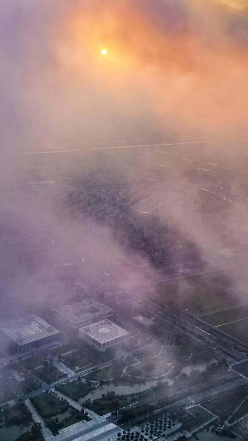 最新迷雾中的绿色心灵之旅，寻找内心平静的旅行