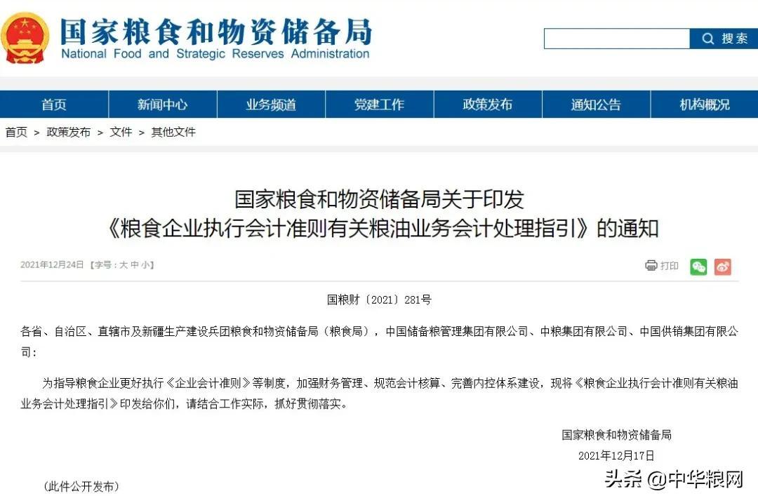 粮食信息获取与应用全面指南，最新动态与策略解读