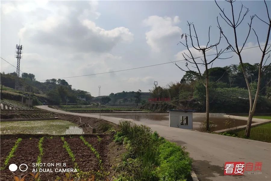 蔡家村最新动态及参与社区活动与技能学习指南