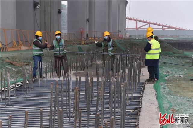 河北雄安疫情最新确诊情况与多维度视角下的观点分析
