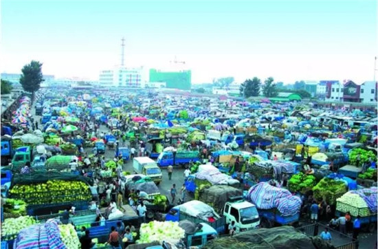 新发地疫情源头揭秘，小巷深处的独特风味成关注焦点