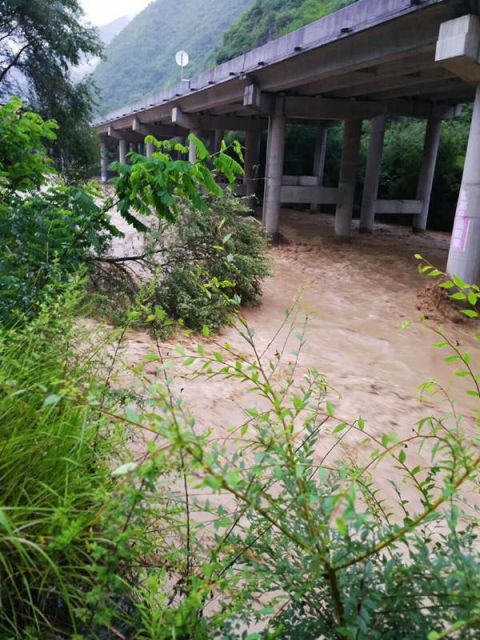 陇南暴雨受灾最新情况,灾难中的温馨故事