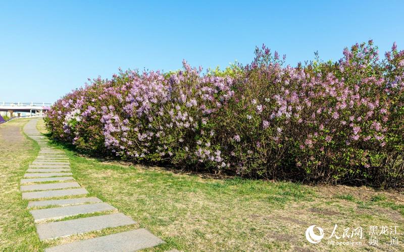 环保设备 第334页