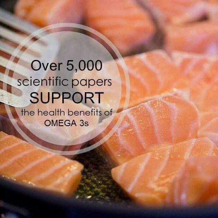 三文鱼最新视频,探索自然美景,寻找内心平静之旅