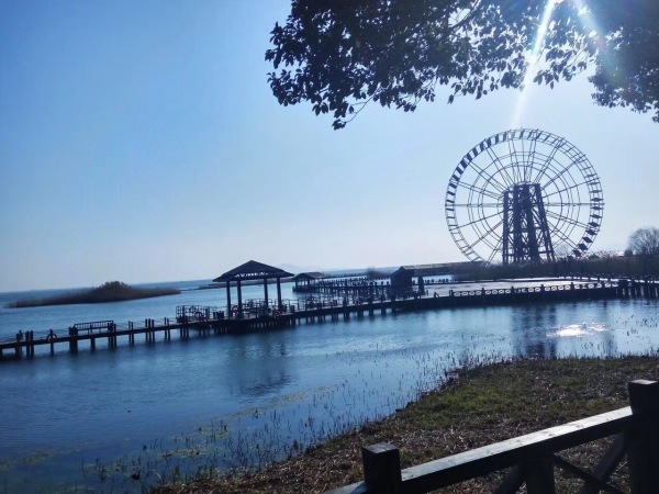 苏州太湖最新动态更新，最新消息汇总