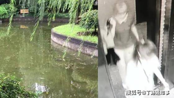 杭州失踪女子最新动态，神秘小巷小店与失踪案关联揭秘