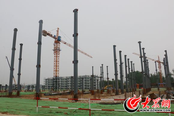 菏泽市最新项目，自然探索之旅与内心平静的追寻