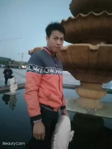 河南原阳县最新案件揭秘