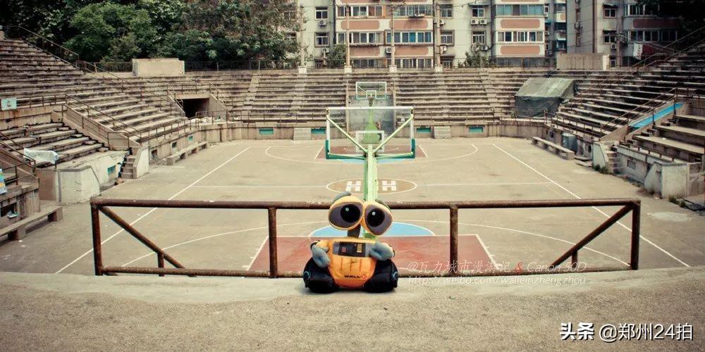 郑上一路最新动态，城市发展的脉搏与变迁