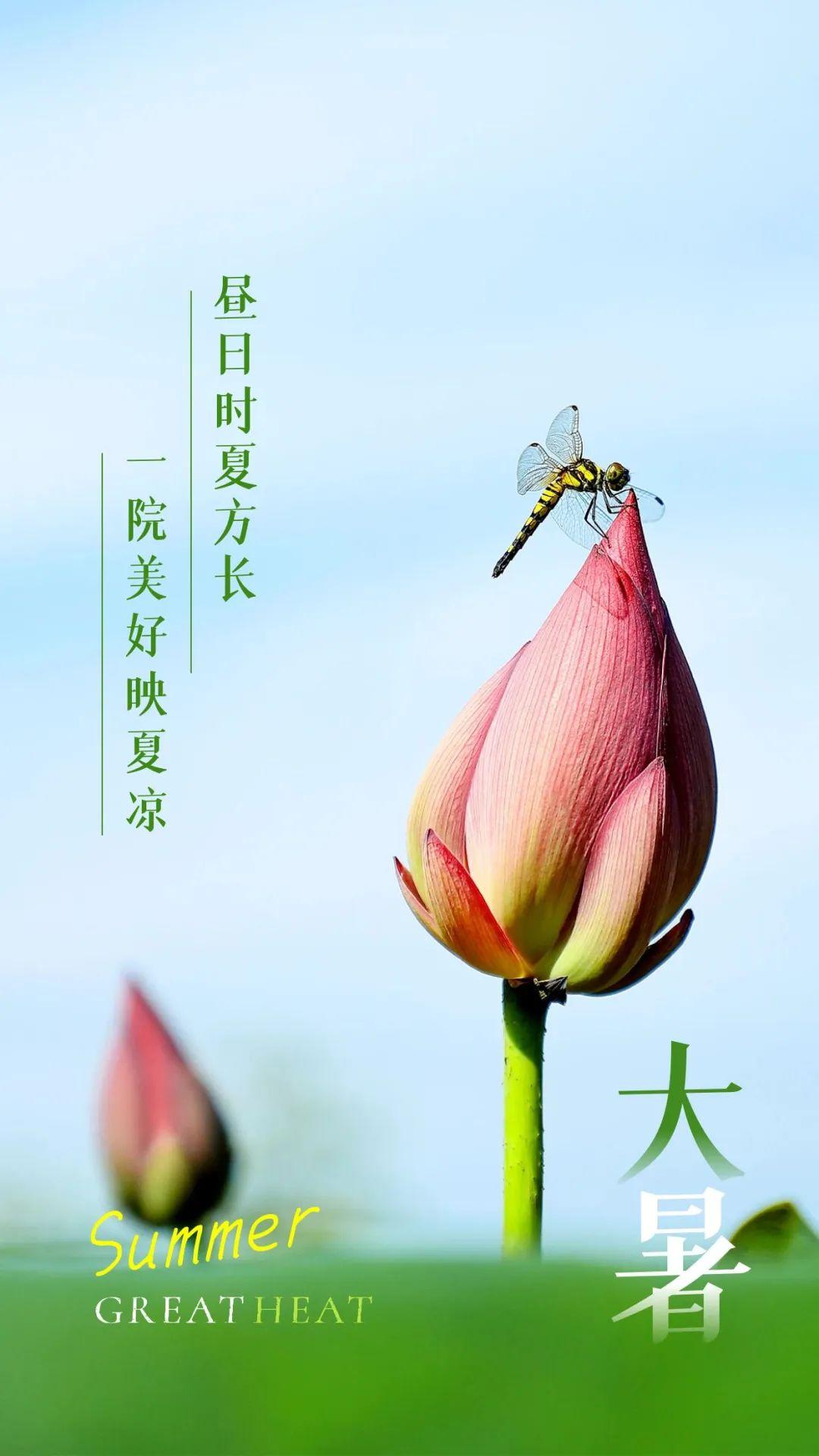 自我提升的能量指引,正能量句子助你前行