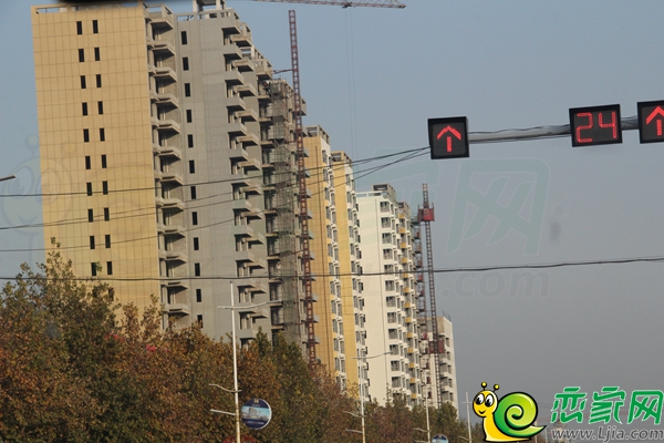 大名市最新房价动态更新，楼市行情及价格走势分析