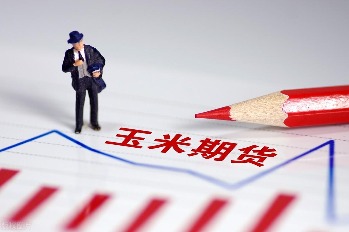 走进稻田，探寻宁静之力与今年水稻行情的心灵之旅