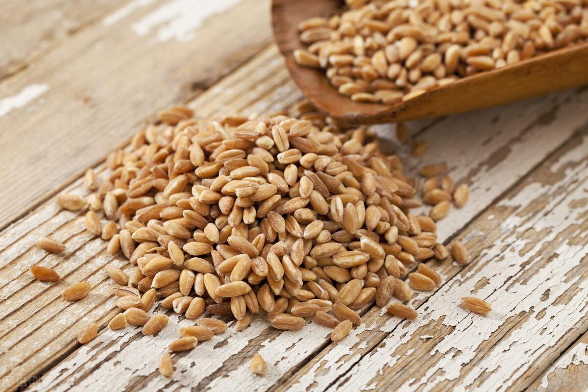 走进稻田,探寻宁静之力与今年水稻行情的心灵之旅