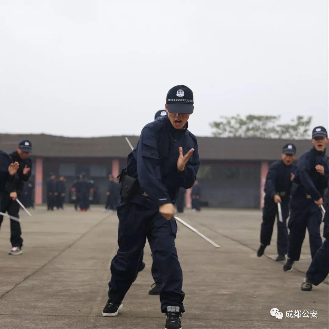 成都辅警改革动态与小巷特色小店，揭示城市新风貌的探索