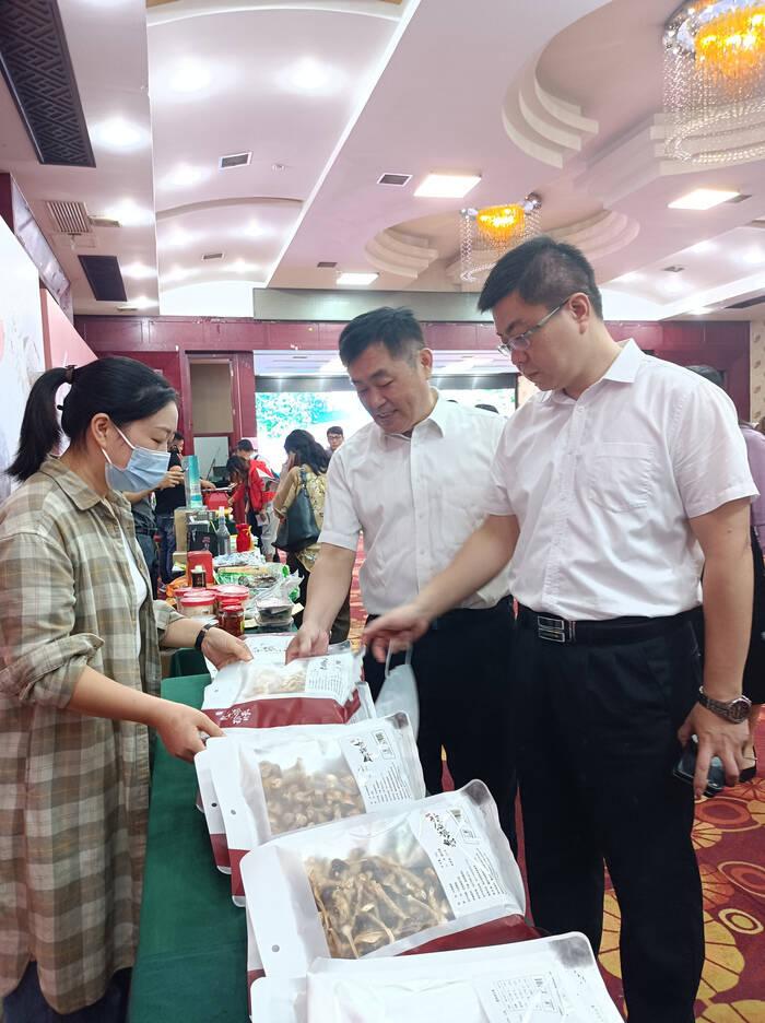 济南至重庆飞机票价格查询,探索天际之旅的起点