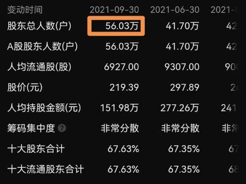 股票账号查询详解，深入探究与观点阐述