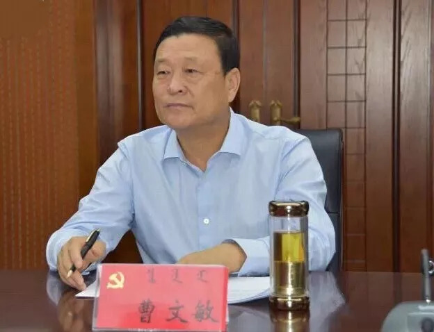 曹文敏，时代之光下的璀璨新星崛起