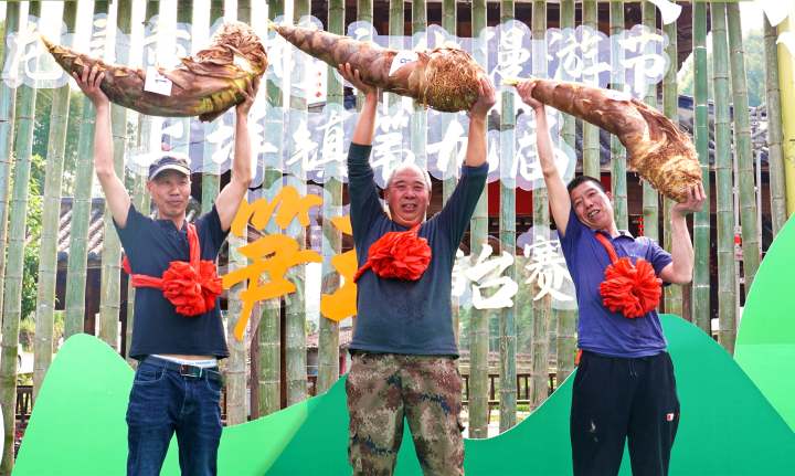 小巷深处的筍比赛味觉盛宴