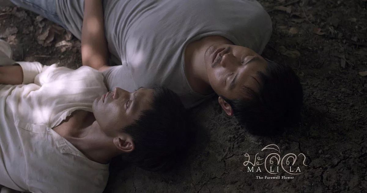 亚洲电影男人天堂,银幕英雄世界的探索