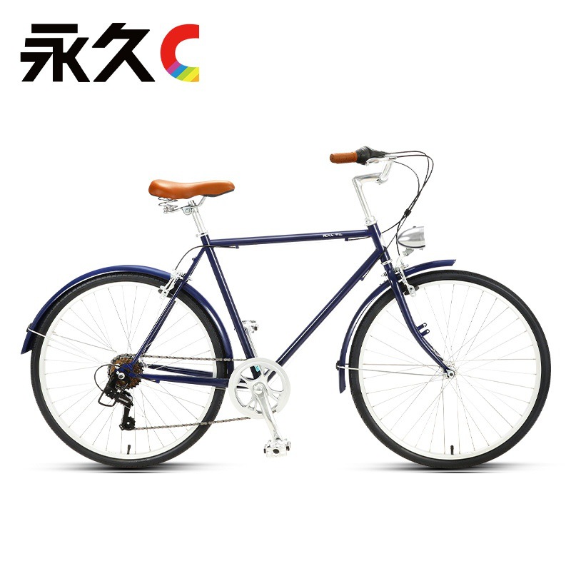 永久牌自行车价格及图片揭秘，小巷中的隐藏之宝自行车风采展示