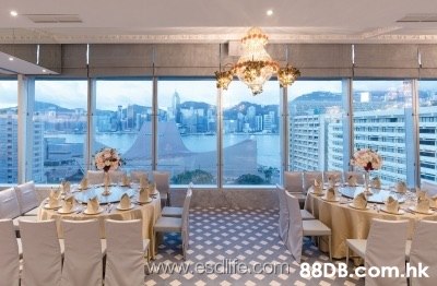 最新宴会资讯及其观点论述解析