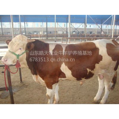 物联网设备研发 第320页