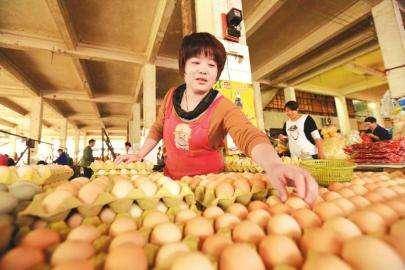 郑州鸡蛋行情背后的友情故事