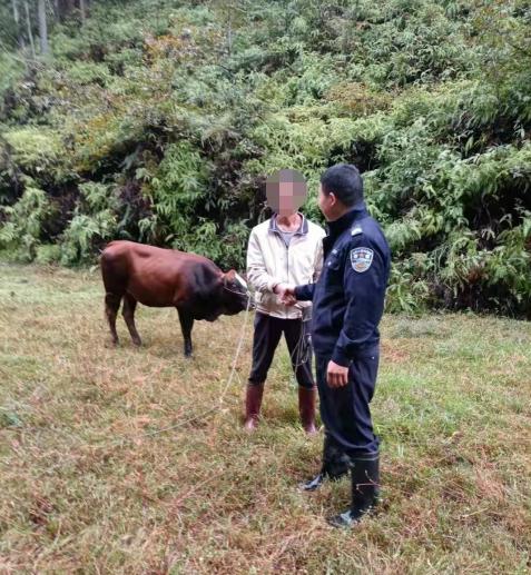 于都县黄麟乡最新动态，乡间趣事与深厚友情的日常故事